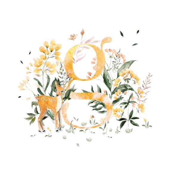 Faire-part naissance "Immortelle"